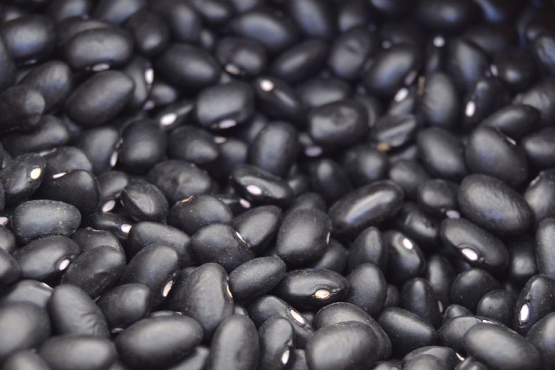 Lavouras entre dois extremos: estiagem e excesso de chuva