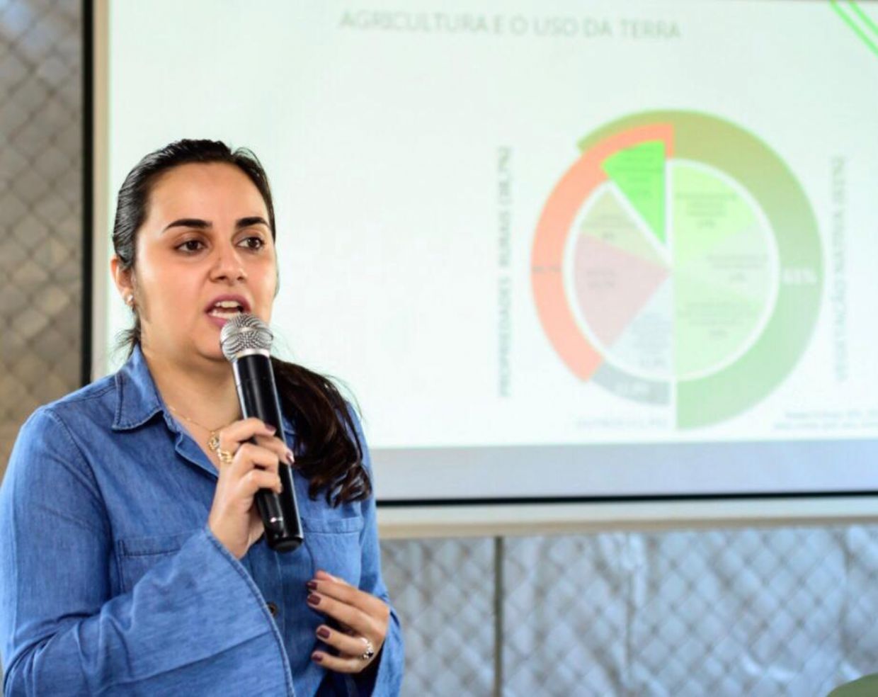 Sistema radicular da cultura da soja e a nodulação