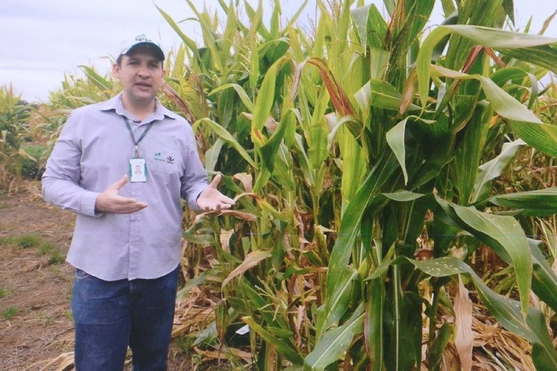 Com formato online, evento manteve a tradição de levar informação ao produtor rural