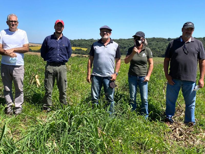 Núcleo de Inovação Tecnológica em Agropecuária (NITA) da UFPR agora tem área de pesquisa na região de Guarapuava