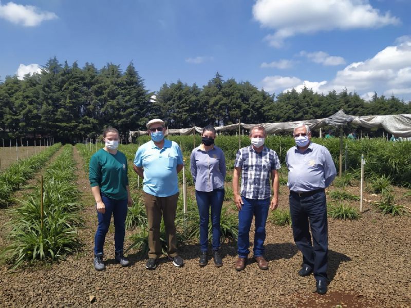 Coamig: de olho no planejamento forrageiro para alavancar a produção leiteira em pequenas e médias propriedades