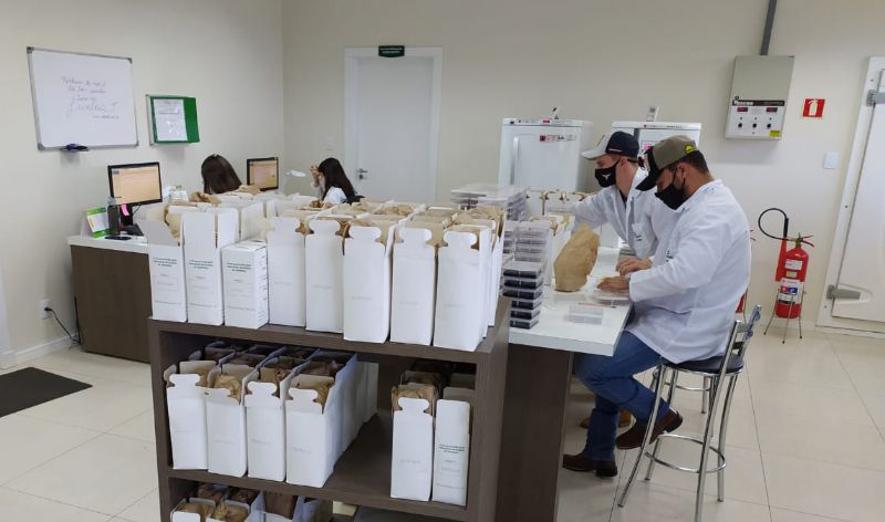 Laboratório de Análise de Sementes da Coopertradição garante sementes de soja com excelentes resultados na colheita