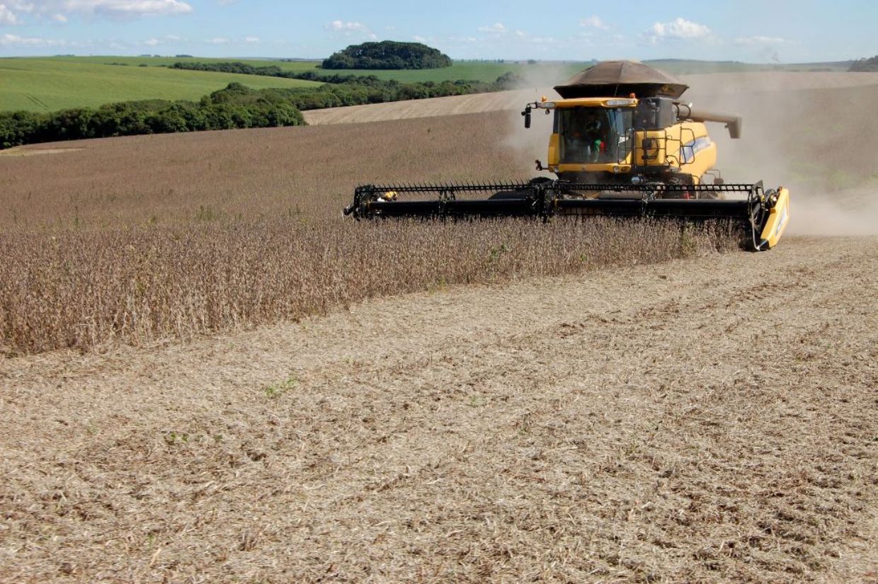 Vazio Sanitário: prazo para colheita da soja é 15 de maio