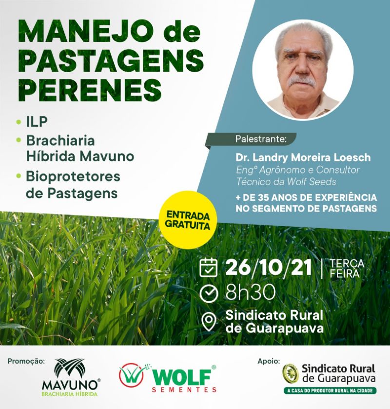 Sindicato Rural sedia palestra sobre manejo de pastagens nesta terça-feira