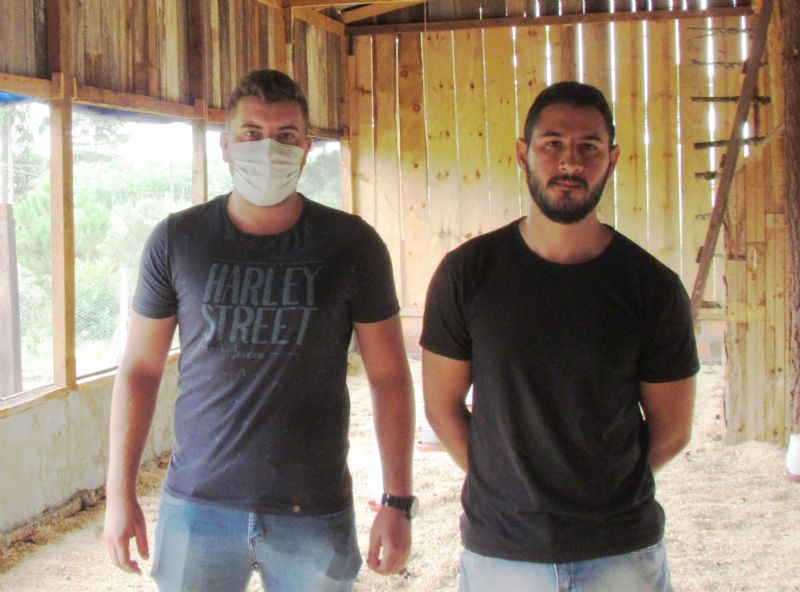 Pequenos produtores investem na produção de ovos caipiras 