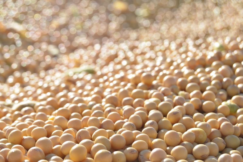 Sindicato Rural sedia reunião de Levantamento de Custos de Produção de Grãos