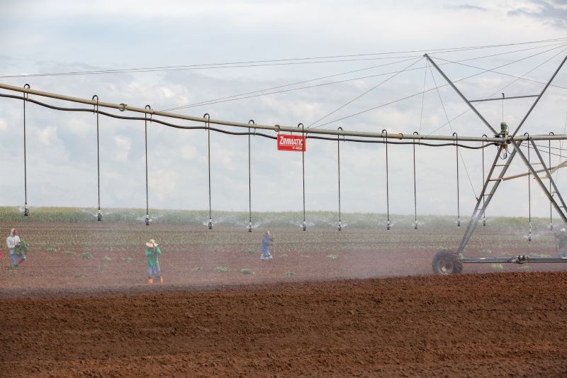 Tecnologias de irrigação e bom planejamento ajudam produtor contra onda de calor
