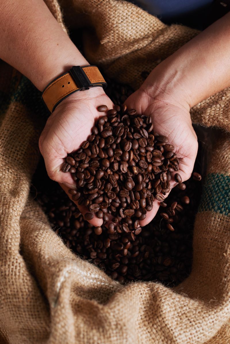 Dia Internacional do Café: conheça os benefícios dos aminoácidos na colheita de um dos grãos mais consumidos do mundo