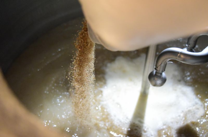 Biotrigo e Agrária lançam primeira cultivar de trigo exclusiva para malte do Brasil