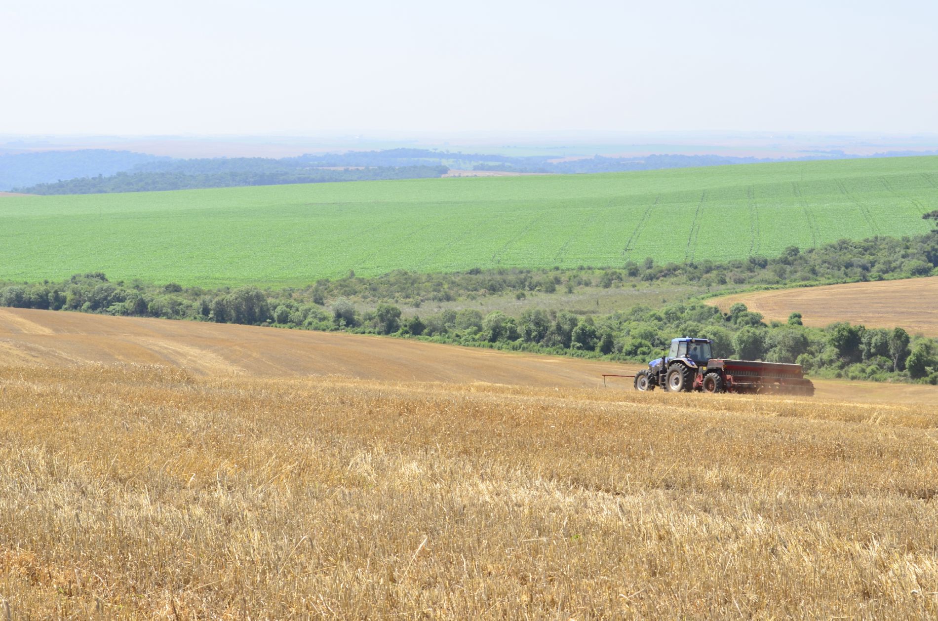 Plano Safra 2024/25 tem juros altos e recursos abaixo do esperado