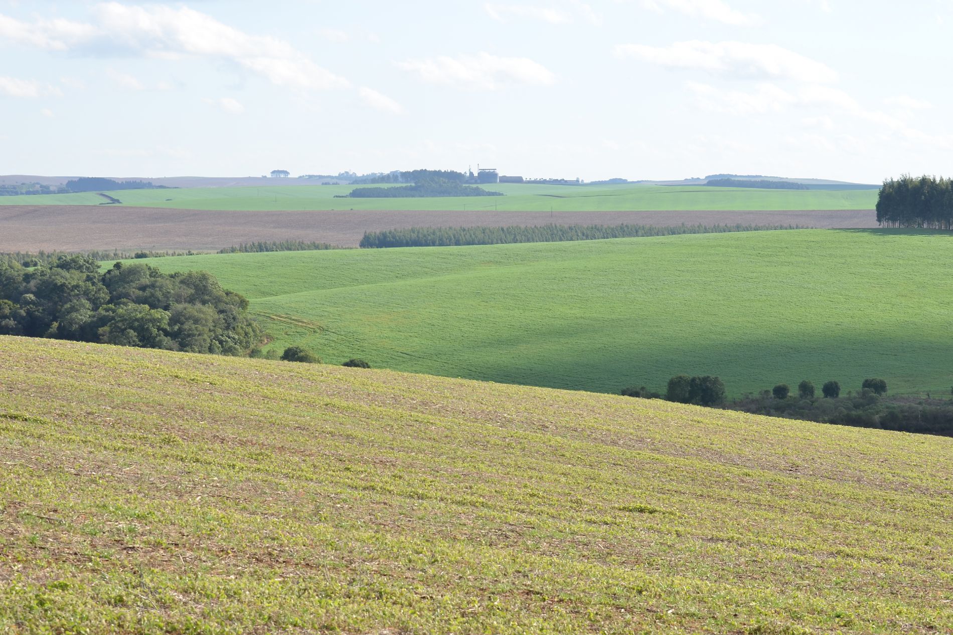 ITR 2024: FAEP lembra que prazo da declaração vai de 12 de agosto a 30 de setembro