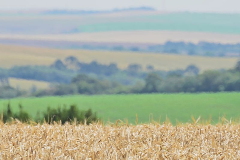 Sindicato Rural lembra que já começou período para declaração do ITR 2024