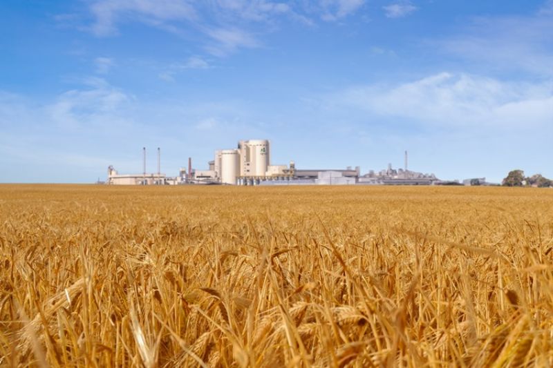 Atuação da Agrária impulsiona Guarapuava na conquista do título de Capital Nacional da Cevada e do Malte