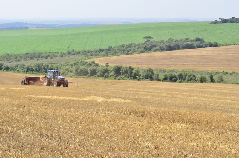 Paraná terá o maior crescimento agrícola entre os estados do Sul e Sudeste em 2025