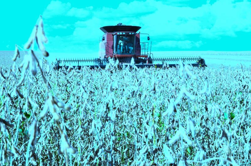 Agronegócio: reforma tributária traz avanços e desafios, avalia especialista