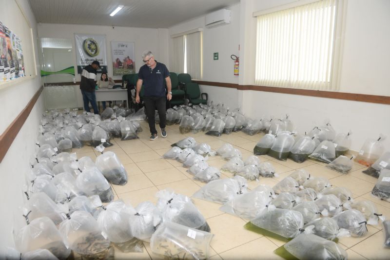 Sindicato Rural e Piscicultura Progresso entregam 5 mil alevinos