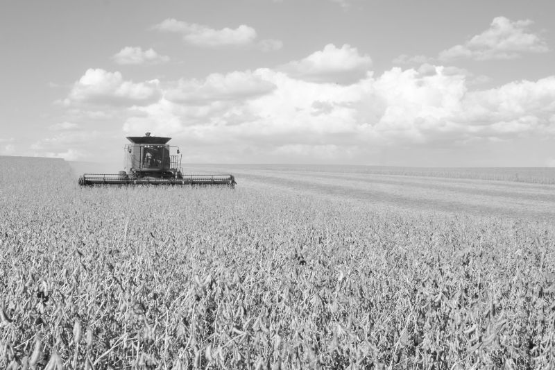 O futuro da mecanização agrícola: planejamento, inovação e financiamento