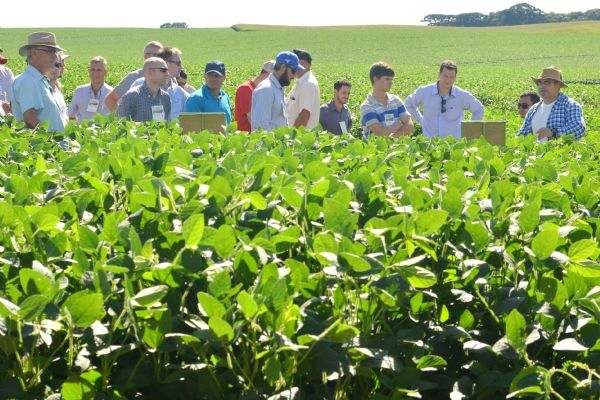 Dia de Campo de Ver&atilde;o mostra desafios e solu&ccedil;&otilde;es da tecnologia