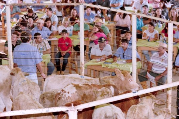 Cand&oacute;i: Feira de Bezerros ser&aacute; neste domingo, dia 30, a partir das 15h