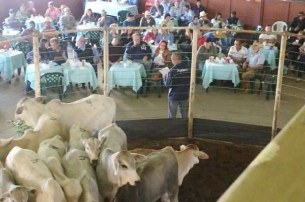 Cand&oacute;i: Feira de Bezerros movimenta cerca de R$ 1 milh&atilde;o
