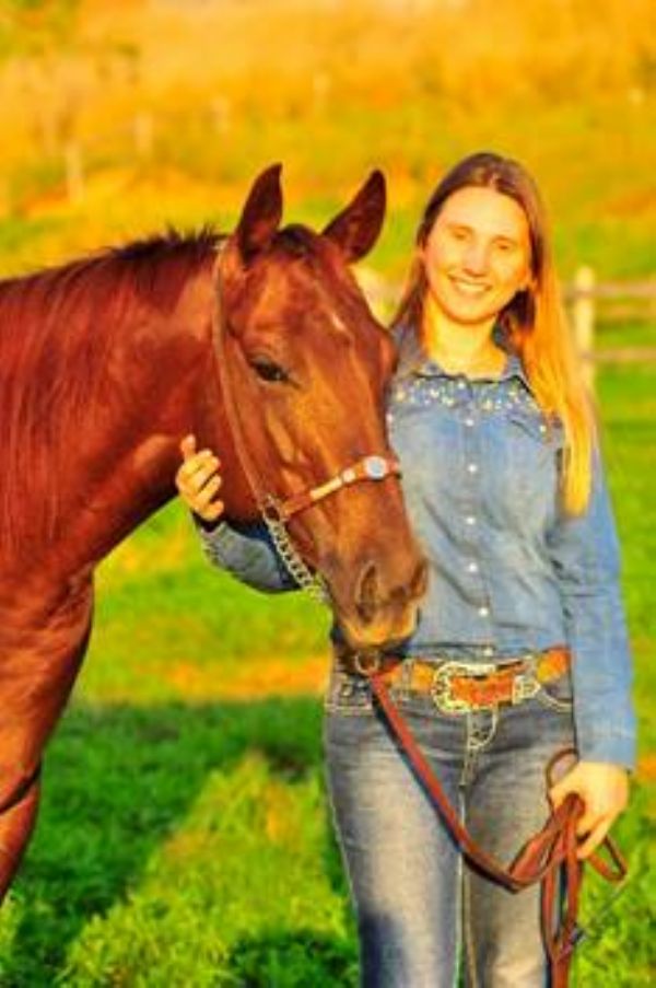 Os desafios do programa nutricional para equinos