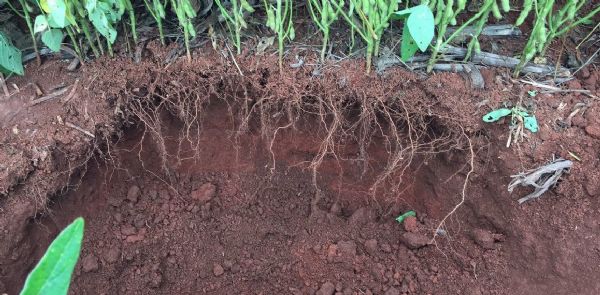 De olho no mercado de agricultura org&acirc;nica, MICROGEO® participa da BioBrazil Fair 2017