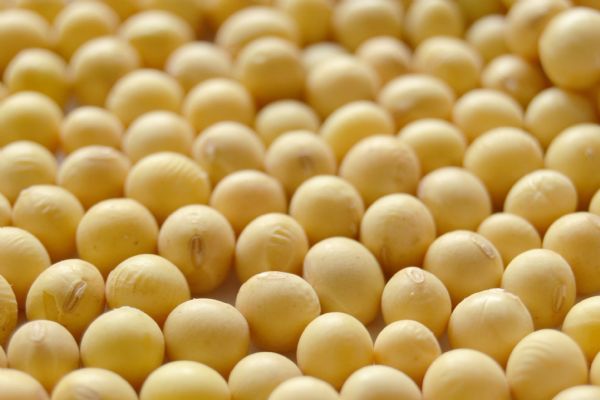 Representantes do Sindicato Rural participam de reuni&atilde;o da Comiss&atilde;o T&eacute;cnica de Cereais da FAEP