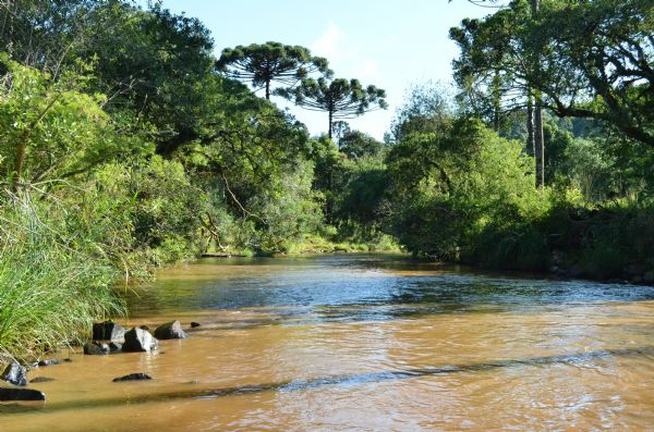 Fique atento aos prazos para CAR e Georreferenciamento