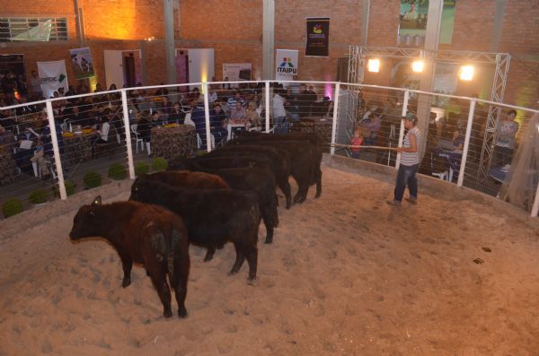 Exposi&ccedil;&atilde;o-Feira Agropecu&aacute;ria reuniu produtores e lideran&ccedil;as do setor