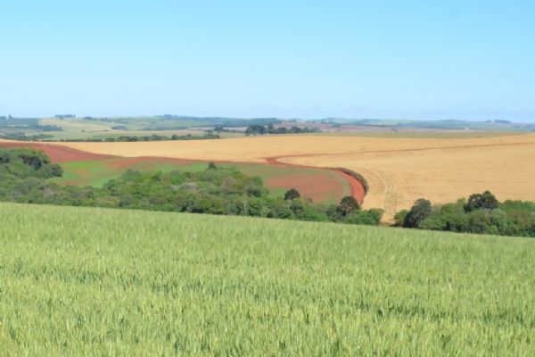 Imposto Territorial Rural: n&atilde;o deixe para &uacute;ltima hora