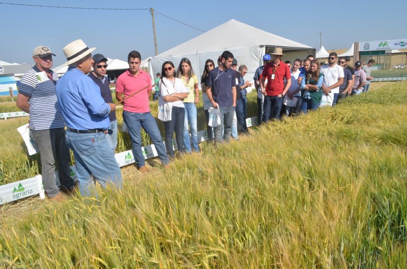 WinterShow ofereceu conhecimento aliado as mais recentes tecnologias de cereais de inverno