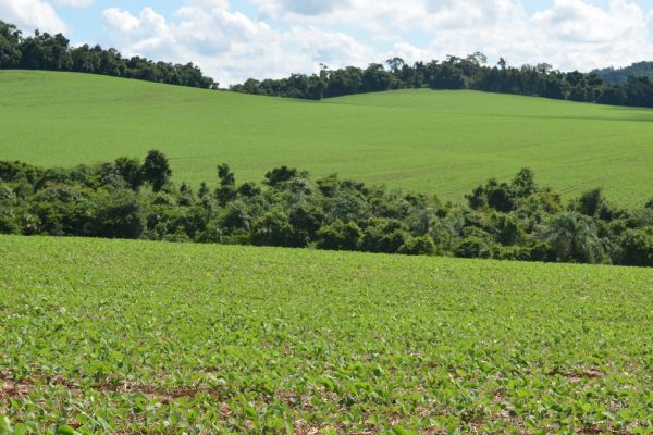 Revis&atilde;o do Termo de Compromisso do antigo Sisleg deve ser solicitada at&eacute; o dia 31 de mar&ccedil;o