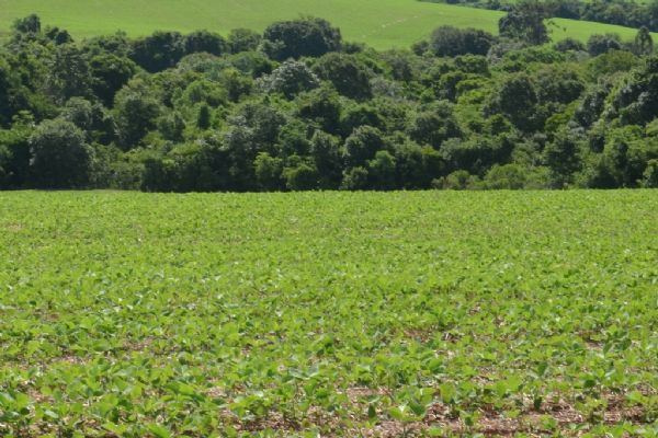 FAEP busca manuten&ccedil;&atilde;o dos dispositivos do C&oacute;digo Florestal