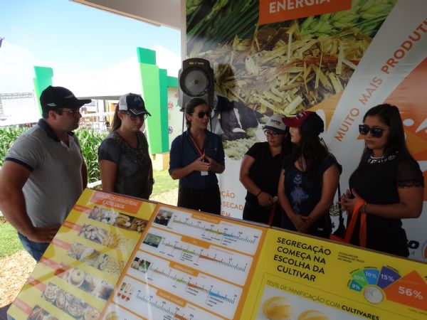  Da semente &agrave; farinha: qualidade industrial do trigo &eacute; tema de palestras na Expodireto